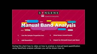 GeneTools How To Video Manual Band Quantification [upl. by Iht]