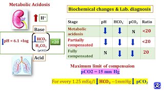 3 Metabolic Acidosis amp Metabolic Alkalosis  Acid Base Balance  Biochemistry [upl. by Sucramej]