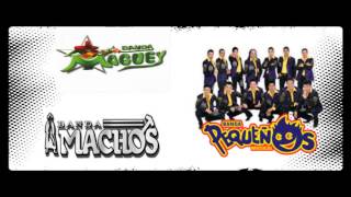 Banda Pequeños Musical  Banda Maguey  Banda Machos  Las Reinas De Los 90´s [upl. by Yromem]