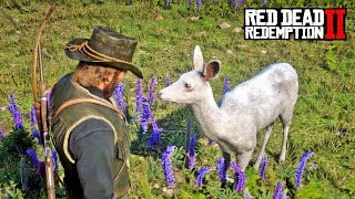 ROCKSTAR A RETIRÉ LA BICHE LÉGENDAIRE DE RED DEAD REDEMPTION 2 [upl. by Anolahs]