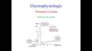 1a Technique de lecture dun ECG 1 La genèse du tracé PQRST Dr Taboulet [upl. by Ahdar]