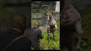 RARE Horse Location In RDR2 shorts funny reddeadredemption2 [upl. by Joannes]