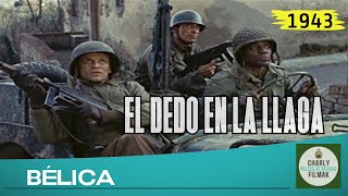 El dedo en la llaga 1969  Belica  Pelicula Clasica  Segunda Guerra Mundial [upl. by Hallerson568]