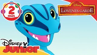 Løvenes Garde  Musikkvideo Gi en liten fyr en sjanse 🎵  Disney Junior Norge [upl. by Mareld]