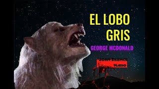 UN CUENTO DE HOMBRES LOBO EL LOBO GRIS George Macdonald  Audiolibro ambientado [upl. by Ybsorc220]