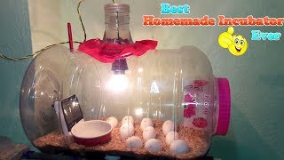 DIY  HOMEMADE INCUBATOR  HOW TO MAKE AN EGG INCUBATOR  HATCHING CHICKEN EGGS [upl. by Yditsahc]