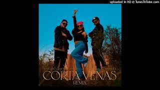 Corta Venas Remix  Yarita Lizeth Yanarico ft Jhon amp Demian [upl. by Osana]