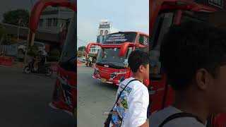 The Chapter  KSB Trans pokoe joget Basurinya menggelegar basuri busmania viralvideo [upl. by Celestyna420]