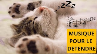 Musique RELAXANTE pour CHATS STRESSÉS 🐱🎶 Détendez votre CHAT [upl. by Stilwell850]