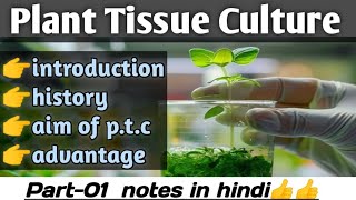 plant tissue culture in hindi tissue culture techniques bsc3rdyear botany [upl. by Elleved]