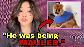 Youtubers dog gets MAULED she takes the owner to COURT and [upl. by Odranar]