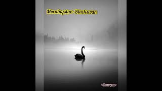 Morningstar  Blackswan lyrics [upl. by Nediarb]