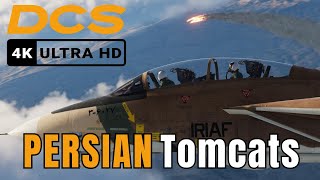 Air Wars of the Middle East Ep 2  Persian Tomcats [upl. by Ohcamac]