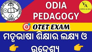 Odia Grammar Concept Class by PATTANAYAKEDUCATION  Bhasa  Dwani  Barna  Matra and Phala [upl. by Darryn311]