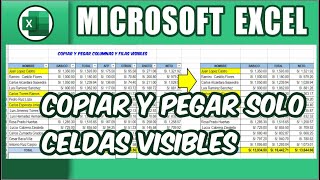 COPIAR FILAS Y COLUMNAS VISIBLES EN EXCEL [upl. by Anehs730]