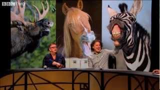 Jacobsons organ  QI  Series 10 Episode 7  BBC Two [upl. by Eberle]