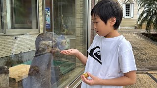 レオくんがおでかけしてみた！下田海中水族館！ Part51 レオスマイル [upl. by Eelana]