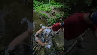 Kaskaskia Canyon Trail  Starved Rock State Park illinois hiking statepark [upl. by Melamie]