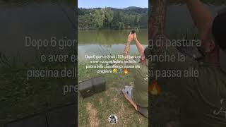 Ultima spiaggia 😂🙌 fishing carps carphunter carping carp carpfishing lake prayer [upl. by Kulda]