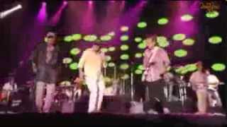 Beach Boys Barbara Ann live 2012 Japan [upl. by Haslam671]