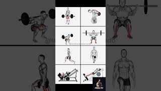 Quick Workout Video Perfect Your Leg Workout with Correct Form homeworkoutroutine shorts abs [upl. by Ahsyt]