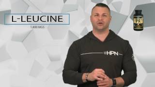 HPN Nutrition PA 7 Phosphatidic Acid Product Overview [upl. by Ahsilrac]