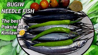 Ito Pala ang Masarap na ipaksiw  Paksiw na Bugiw  Needle Fish Paksiw [upl. by Griffy]