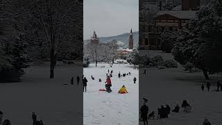 Rodeln im Weinheimer Schloßpark [upl. by Jarid414]