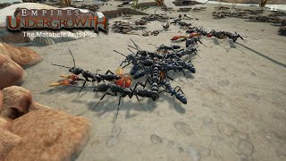 Empires of the Undergrowth Freeplay 2 The Matabele Ants Rise [upl. by Varden]