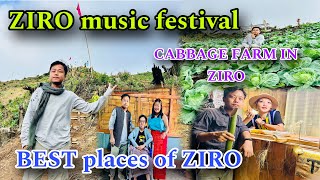 Ziro music festival  Cabbage farm up in the mountainwith ​⁠duyuyabii014 amp ​⁠kuritateh8864 [upl. by Adnoel295]