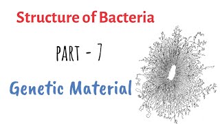 Structure of Bacteria  Part 7  Genetic Material [upl. by Sanfo]