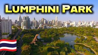 Bangkoks Lumphini Park Walk  Giant Lizards to Thai Street Food 🇹🇭 [upl. by Mian]