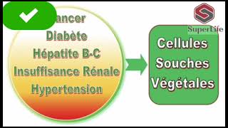 Traitement différentes types de maladies avec la thérapie cellulaire  cellules souches végétales [upl. by Call]