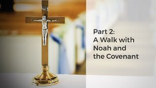 Bible Basics for Catholics  Noahic Covenant [upl. by Watts571]