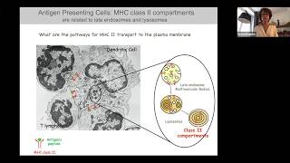 The Cell Biology of Extracellular Vesicles From Immunity to Pigmentation by Graça Raposo [upl. by Ahsima]