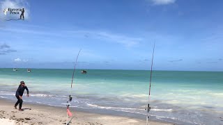 A PESCA DE PRAIA com varas de arremesso é muito mais do que pegar peixes [upl. by Jenne302]