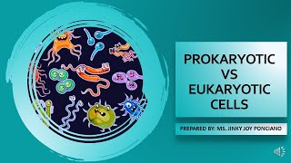 General Biology 1 Prokaryotic vs Eukaryotic cells [upl. by Tipton]