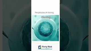 Cloning of embryos EmbryoCloning EmbryoSplitting ivf pregnancy pregnant baby ivfjourney [upl. by Nitreb]