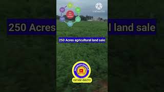 250 Acres Agriculture land sale  Nellore district  Dagadarthi near Acre  10 lakhs [upl. by Dnyletak]