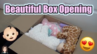 Beautiful Reborn Baby Box Opening Its Twins  Kelli Maple [upl. by Ahsinal]