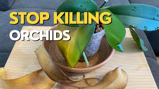 Stop Killing Your ORCHIDS  Orchid Leaves Turning Yellow [upl. by Nanon358]