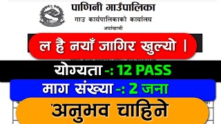 Panini Gaunpalika Arghakhanchi job vacancy today  kathmandu job vacancy  new job vacancy in nepal [upl. by Lletram472]