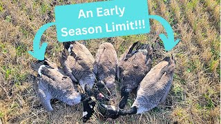 2024 MN Early Season Goose Hunting [upl. by Oren334]