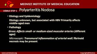 Polyarteritis nodosa PAN  Usmle step 1 pathology Case based discussion [upl. by Yssac493]