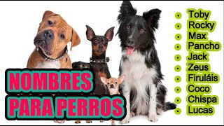 Nombres para perros machos🦮🐕‍🦺🐩 [upl. by Grekin]