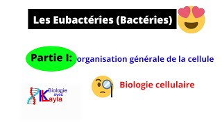 Biologie cellulaire Les Eubactéries Bactéries البكتيريا [upl. by Latihs]