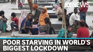 India Worlds biggest COVID19 lockdown leaves poor starving  ABC News [upl. by Pedrotti]