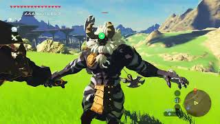 Lynel killed within 1 minuteThe Legend of Zelda Breathe of the wild [upl. by Novyat]