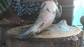 GIANT CATLA FISH CUTTING BY EXPERT FISH CUTTER  BANGLADESH FISH [upl. by Janyte]