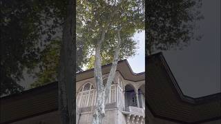 Topkapi Palace Museum [upl. by Cleo]